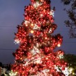 DP-Town-Cntr-Xmas-tree-from-Tinnes