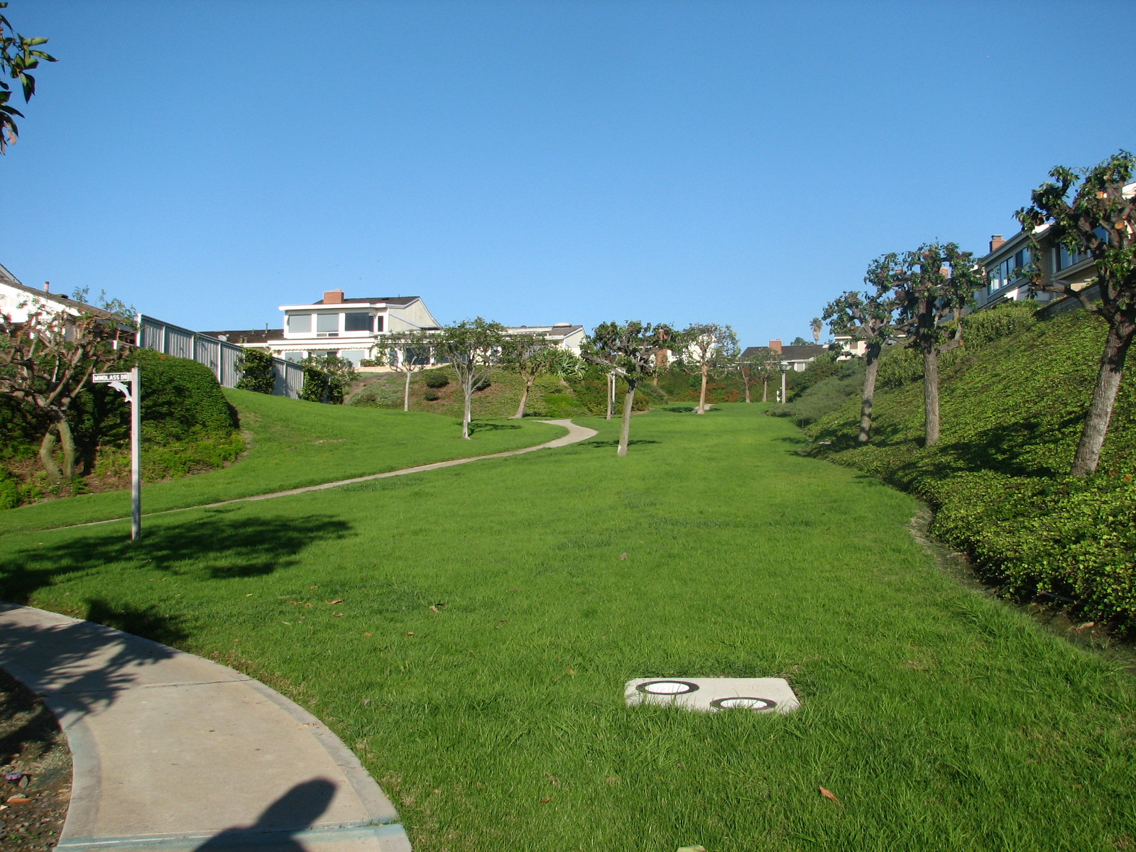 Landscape Update – Scalping, Overseeding, & Irrigation | Niguel Shores 